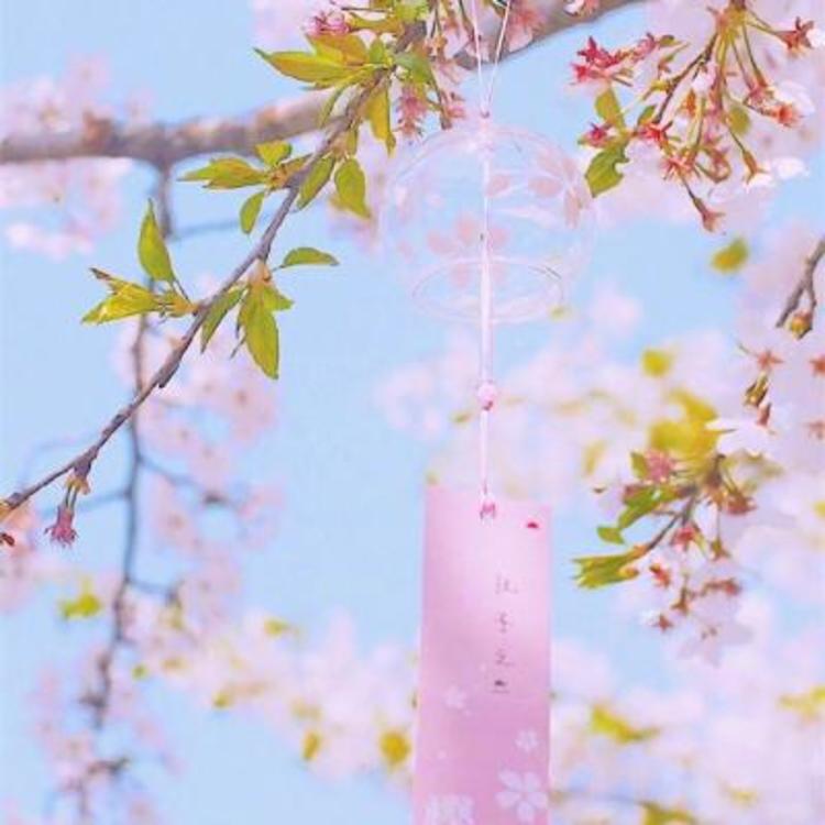 相乐左之助（身份：前赤报队准队士、“恶”字背衣打手） - 游戏直播实时在线观看 - 平板追剧